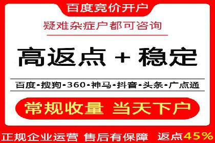 案例研究：竞价广告助力电商行业增长